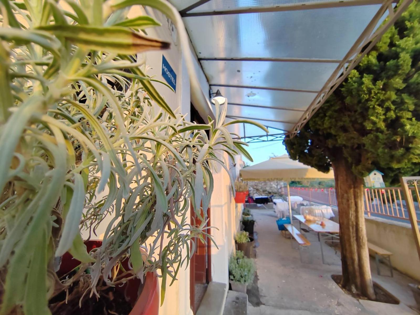 Hostel Old School ริเยกา ภายนอก รูปภาพ
